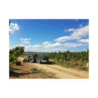 Masseria Cardillo - Vigna del Borgo 2016