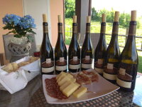 Isidoro Polencic - Chardonnay Collio DOC 2016