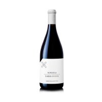 Cottini - Valpolicella Classico Superiore DOC 2016